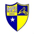 IAPE青年队 IAPE青年队
