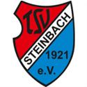 TSV施泰因巴赫 TSV施泰因巴赫