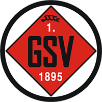 格平杰SV 格平杰SV