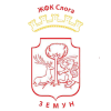 ZKF孔宏女足 ZKF孔宏女足