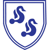 斯尔威FC 斯尔威FC