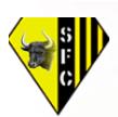 沙龙FC 沙龙FC